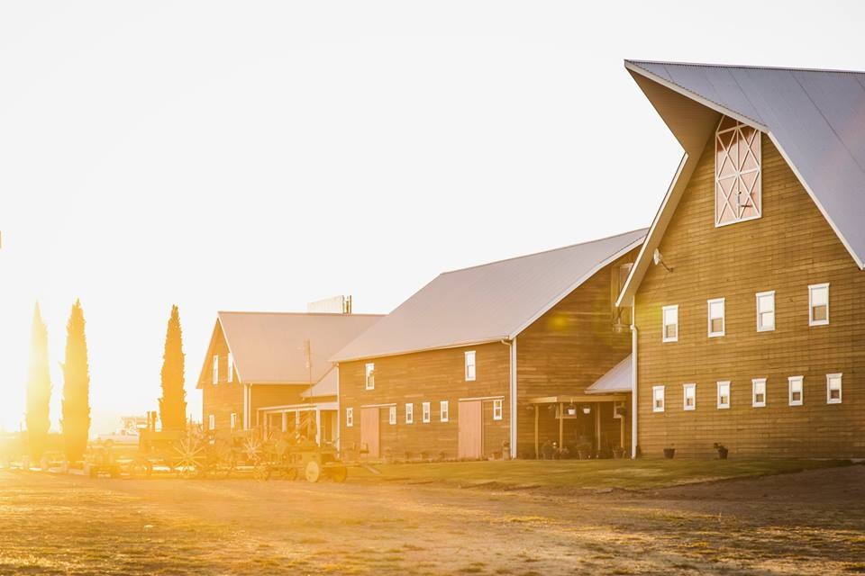 Tour Campos Menonitas